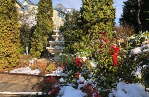 fountain with snow